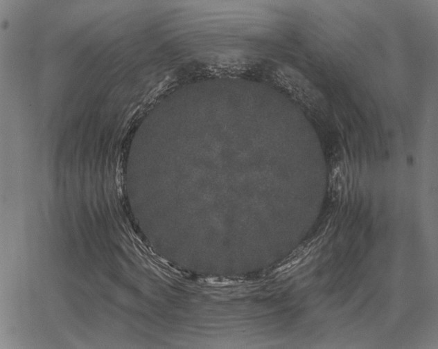 X0000062850772200601131349