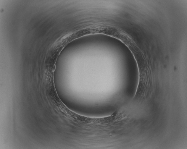 X0000062850773200601131349