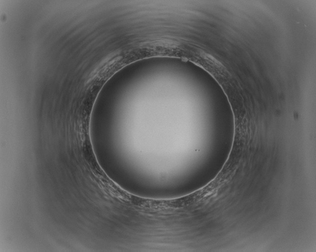 X0000062850774200601131349