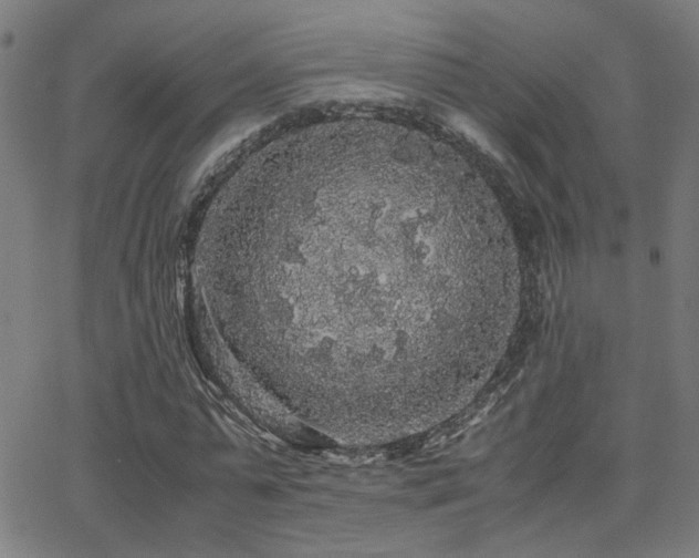 X0000062850775200601131349