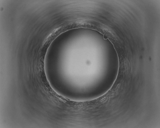 X0000062850776200601131349