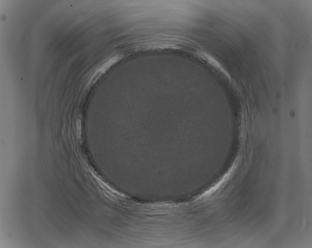 X0000062850777200601131349