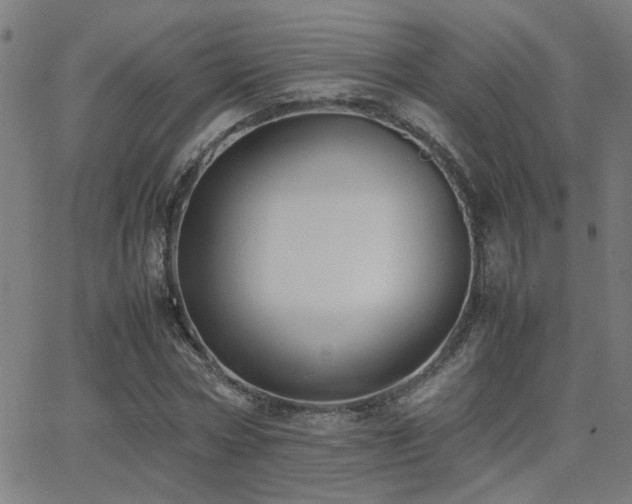 X0000062850778200601131349