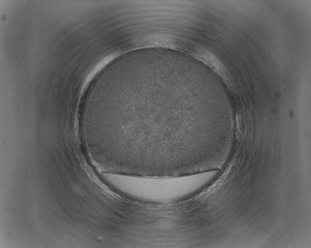 X0000062850780200601131349