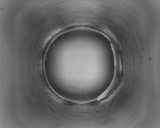 X0000062850781200601131349