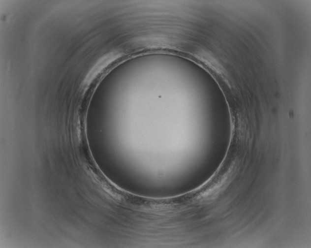 X0000062850782200601131349