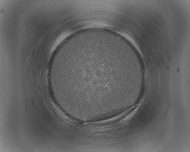 X0000062850783200601131349