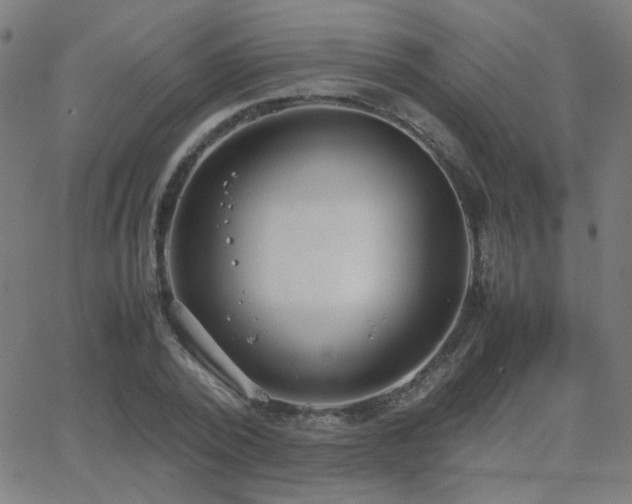 X0000062850784200601131348