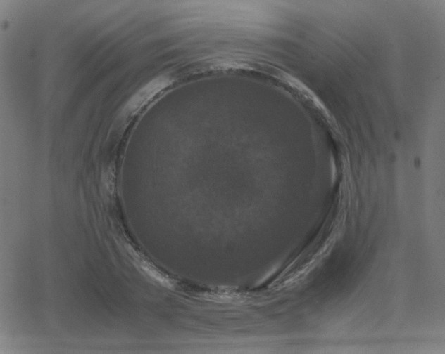 X0000062850785200601131348