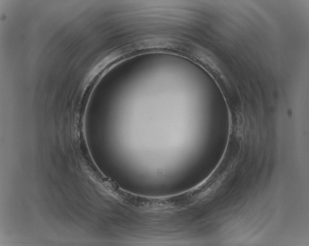 X0000062850786200601131348