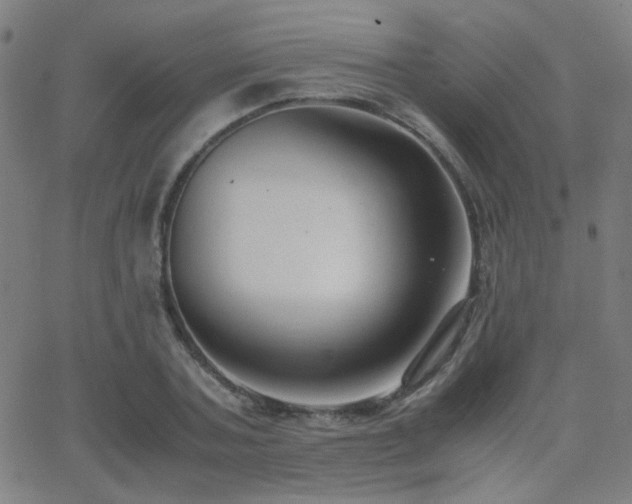 X0000062850787200601131348