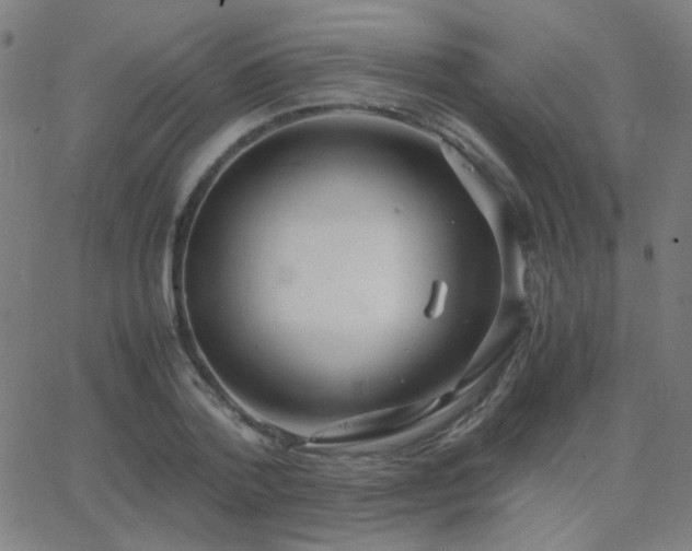 X0000062850788200601131348