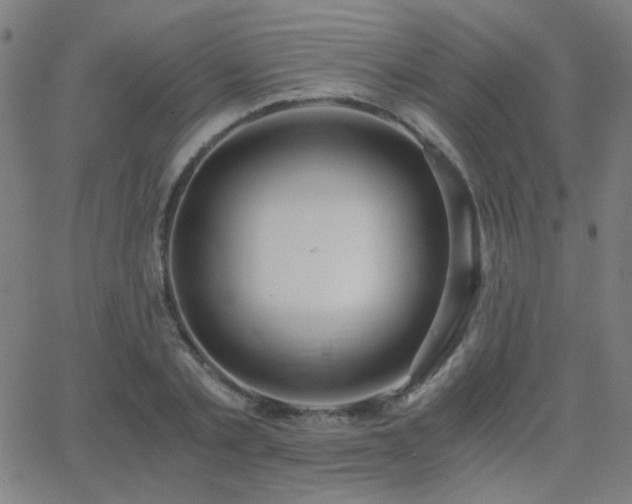 X0000062850789200601131348