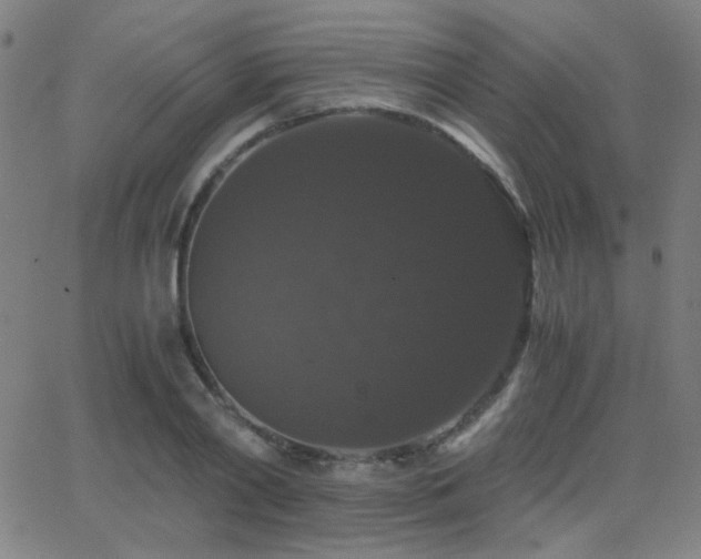 X0000062850790200601131348