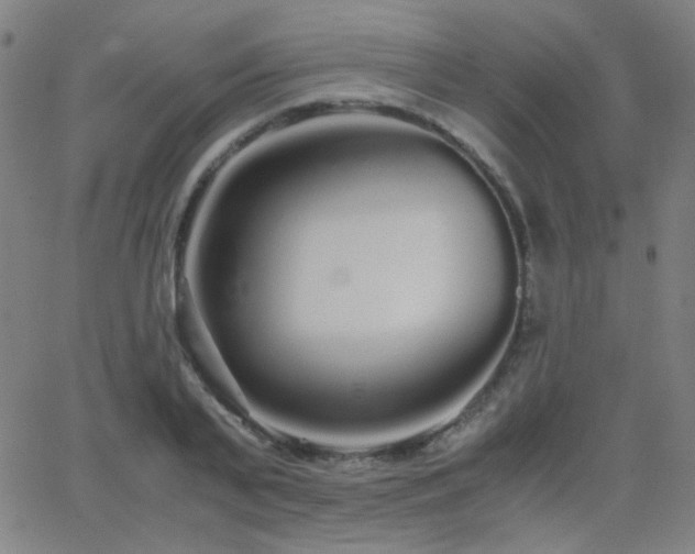 X0000062850791200601131348