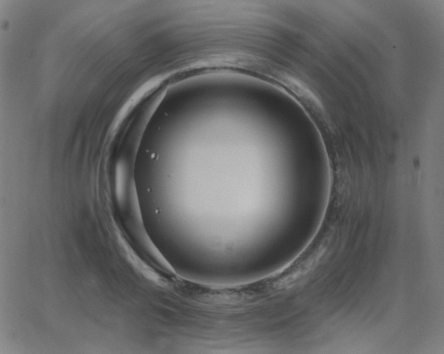 X0000062850792200601131348