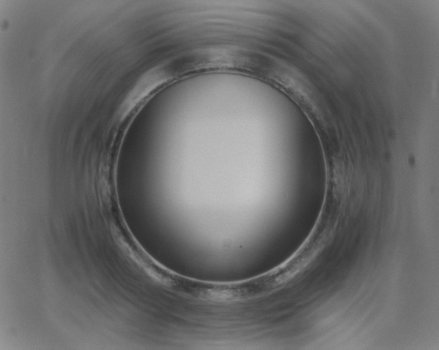 X0000062850794200601131348