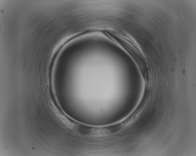 X0000062850795200601131348