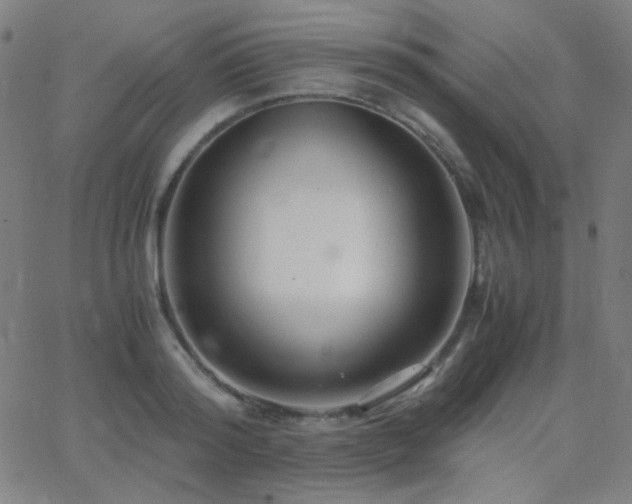 X0000062850796200601131348