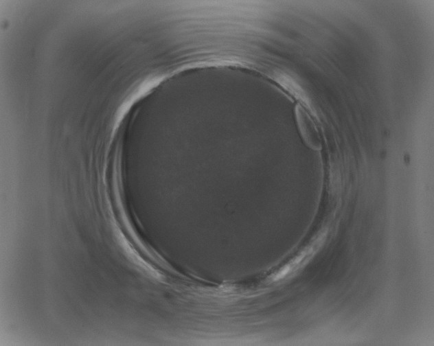 X0000062850797200601131348