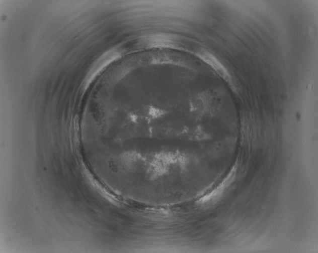 X0000062850798200601131348