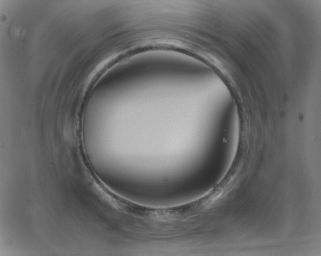 X0000062850799200601131348