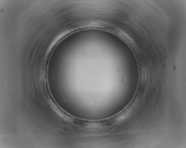 X0000062850800200601131348