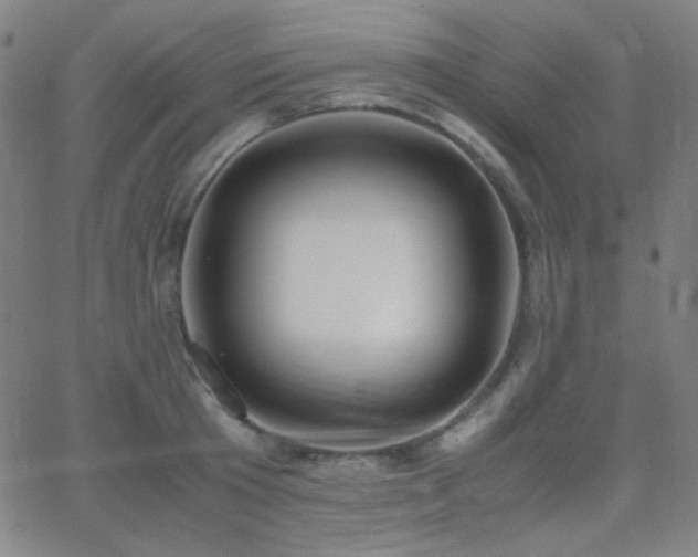 X0000062850801200601131348