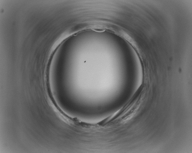 X0000062850803200601131348