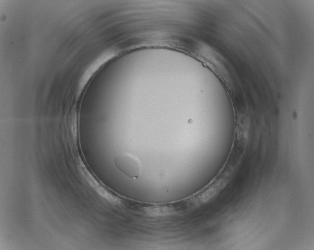 X0000062850804200601131348