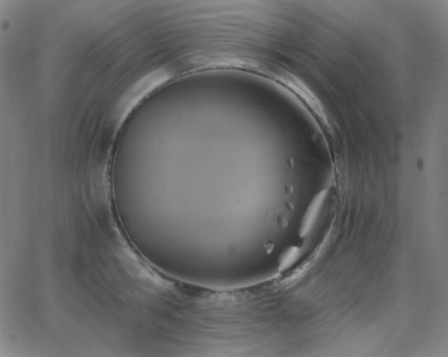 X0000062850806200601131348