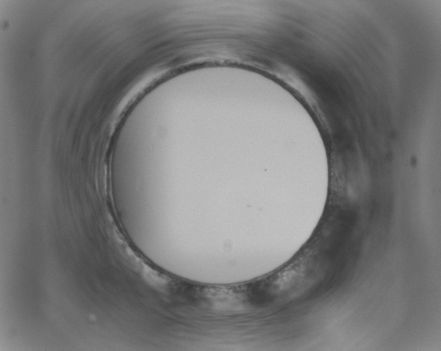 X0000062850807200601131348