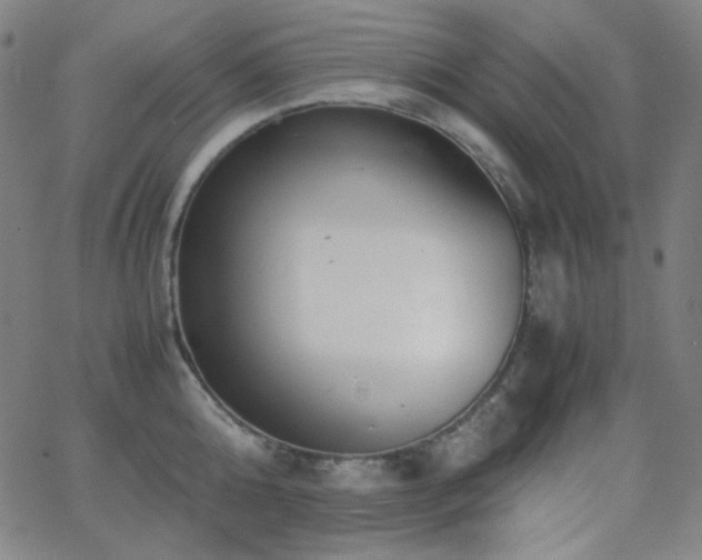 X0000062850808200601131348