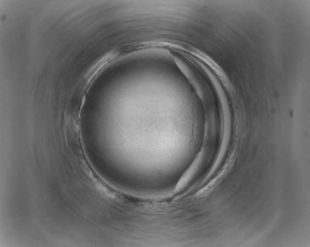 X0000062850809200601131348