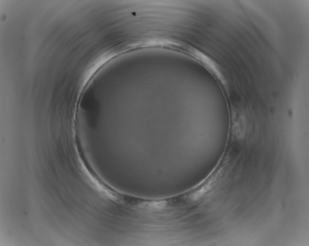 X0000062850810200601131348