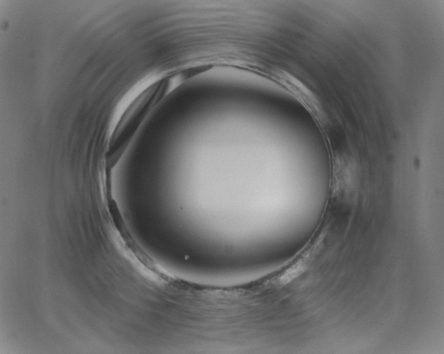 X0000062850812200601131348