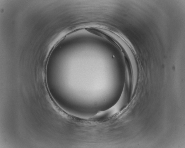 X0000062850813200601131348