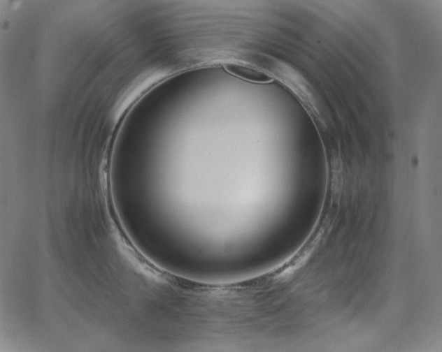 X0000062850814200601131348