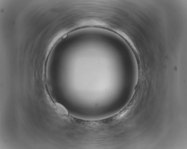 X0000062850815200601131348