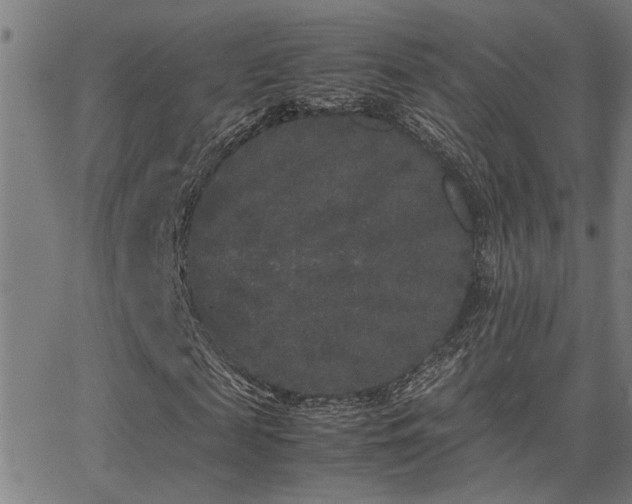 X0000062850817200601131347