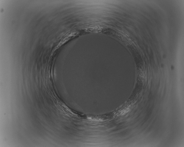 X0000062850818200601131347