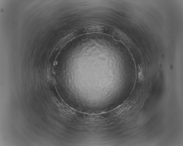 X0000062850819200601131347