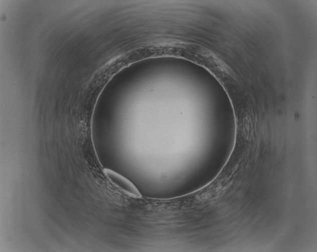 X0000062850821200601131347