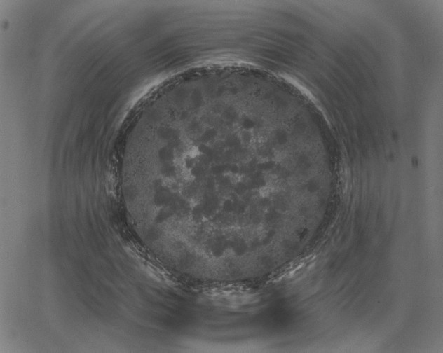 X0000062850823200601131347