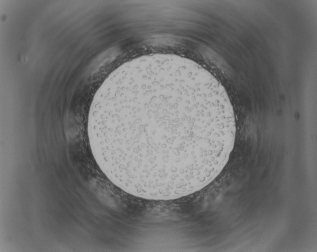 X0000062850824200601131347