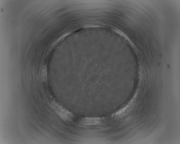 X0000062850825200601131347