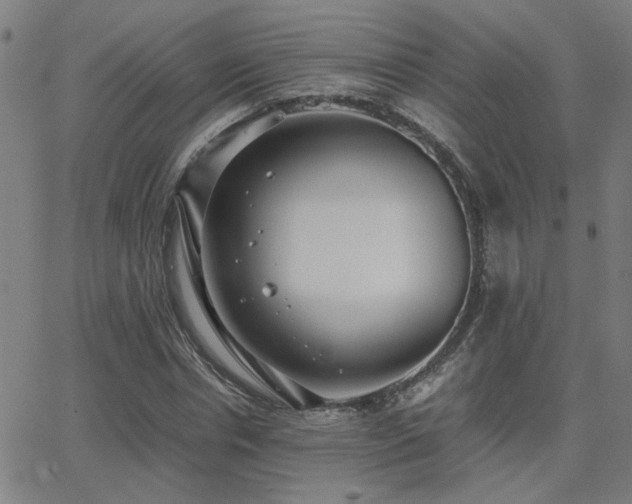 X0000062850826200601131347