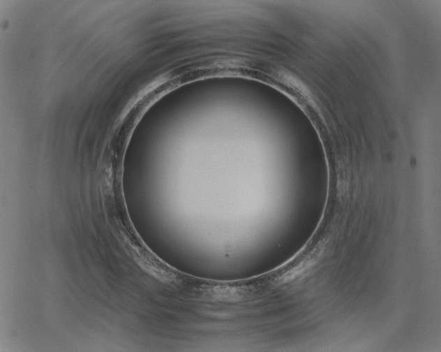 X0000062850827200601131347