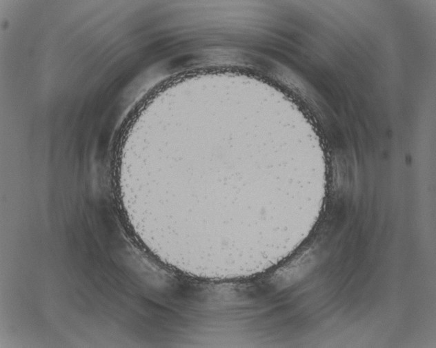 X0000062850828200601131347