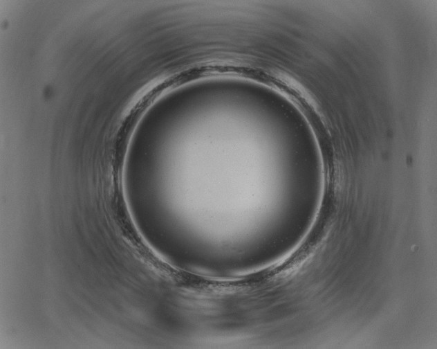 X0000062850829200601131347